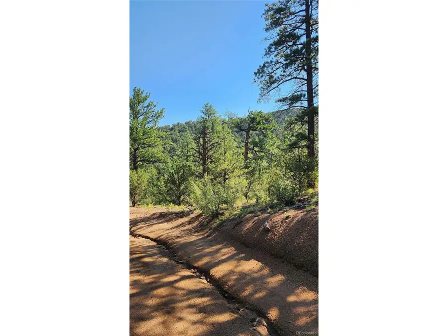 43rd Trl, Cotopaxi, CO 81223 - #3