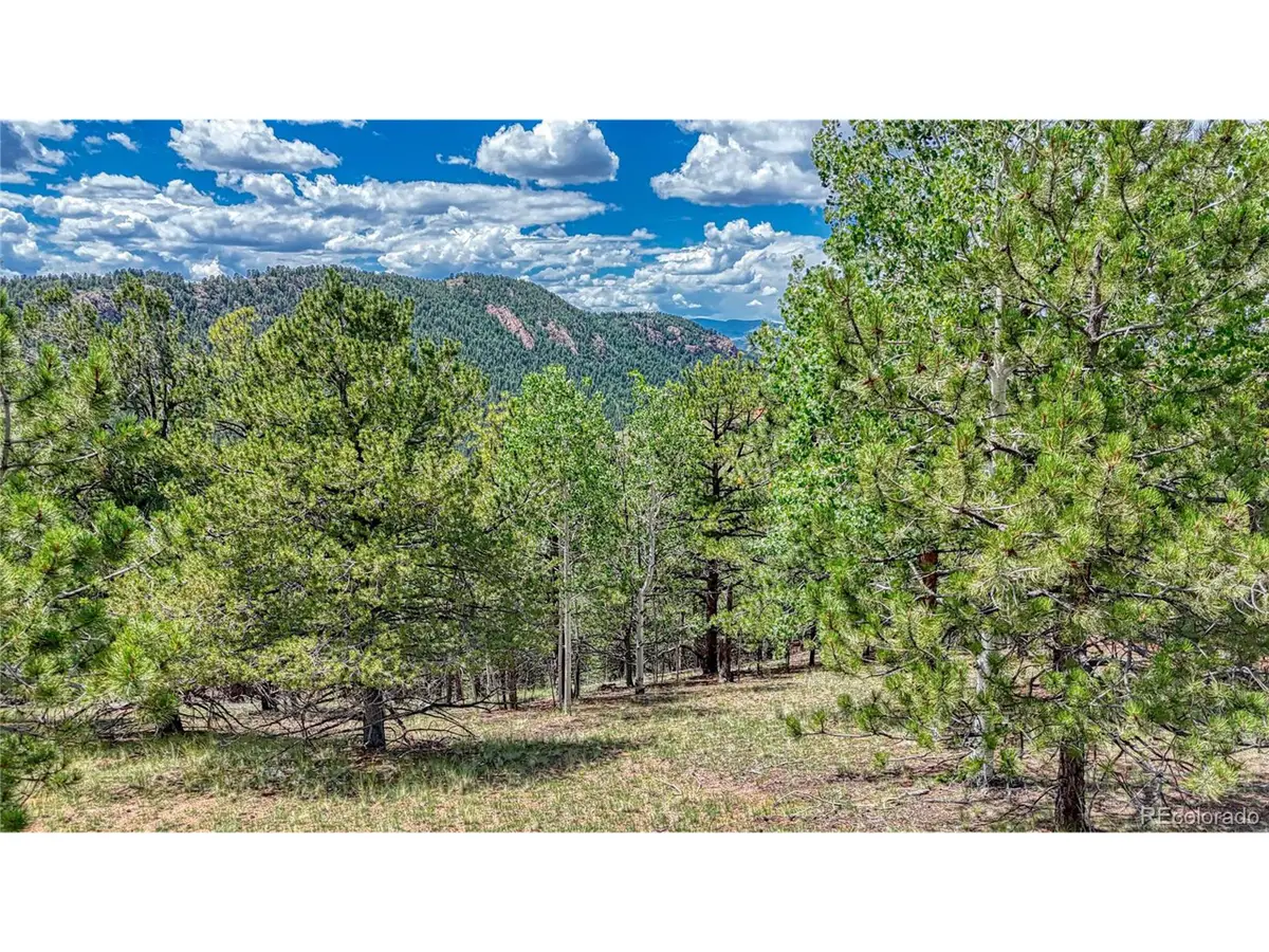 24 Wild Horse Cir, Cripple Creek, CO 80813 - #1