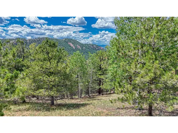 24 Wild Horse Cir, Cripple Creek, CO 80813
