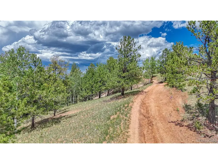 24 Wild Horse Cir, Cripple Creek, CO 80813 - #2