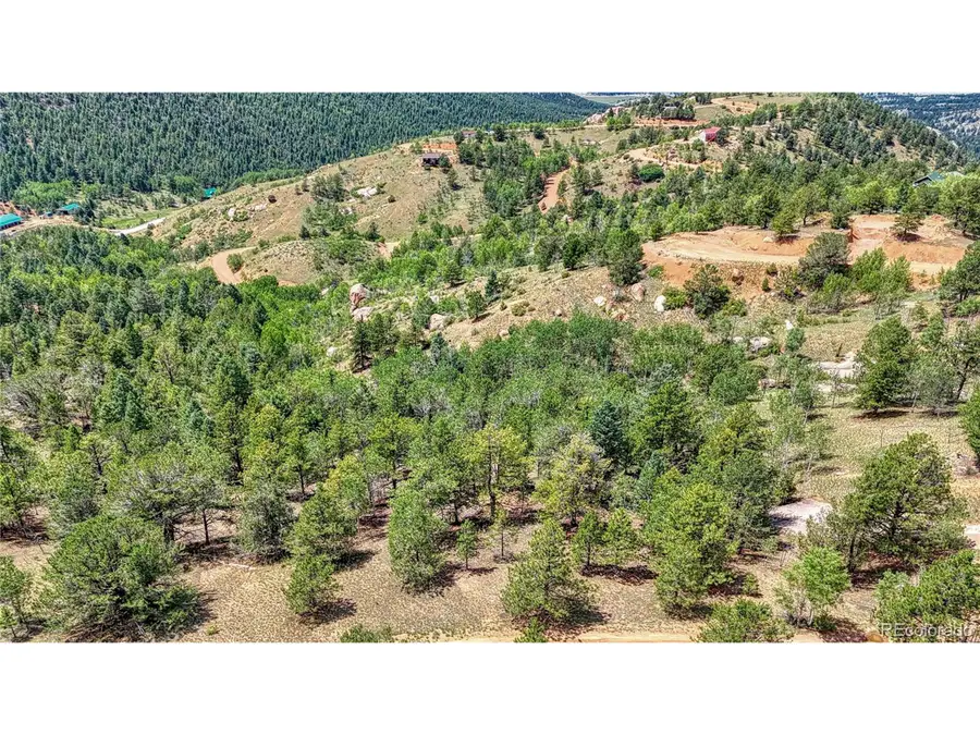 24 Wild Horse Cir, Cripple Creek, CO 80813 - #3