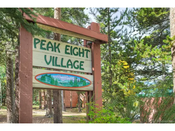 1080 Ski Hill Rd #9, Breckenridge, CO 80424