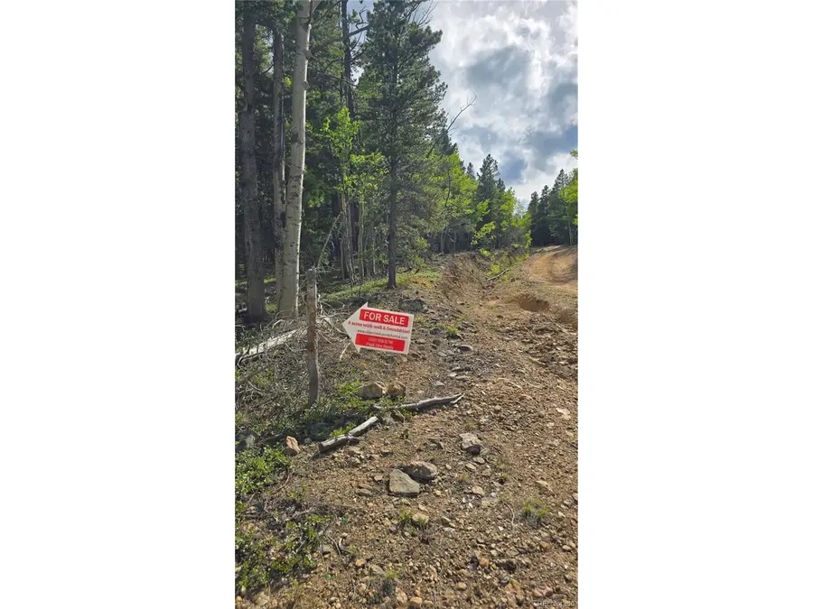 Address Withheld By Seller, Idaho Springs, CO 80452 - Image #3