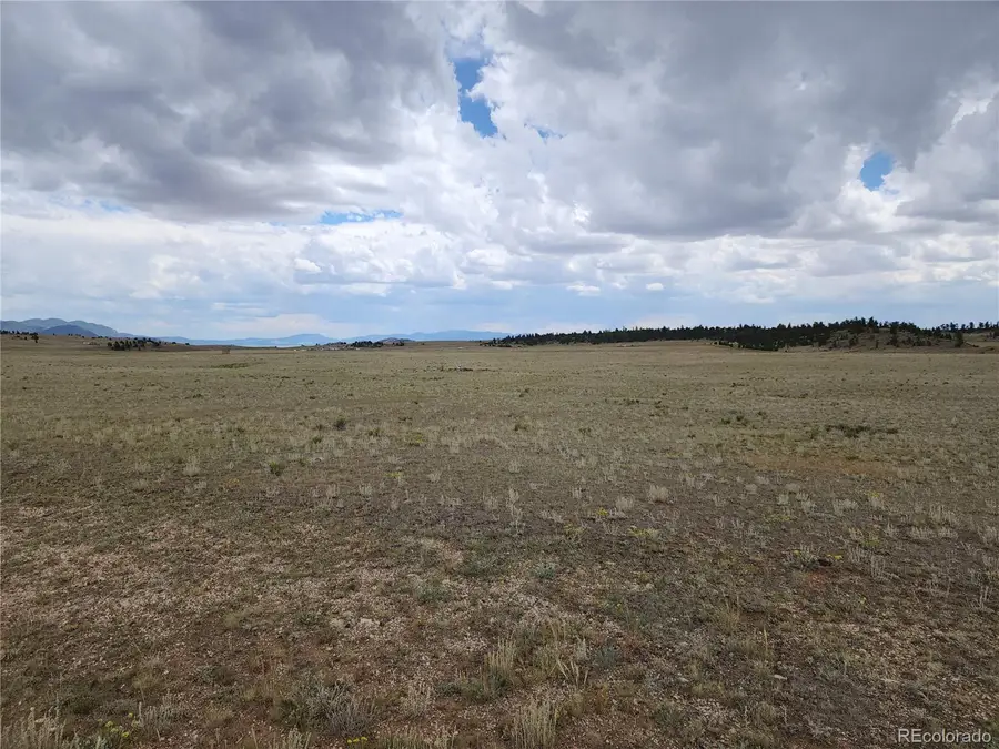 878 Cheyenne Trl, Hartsel, CO 80449 - #2