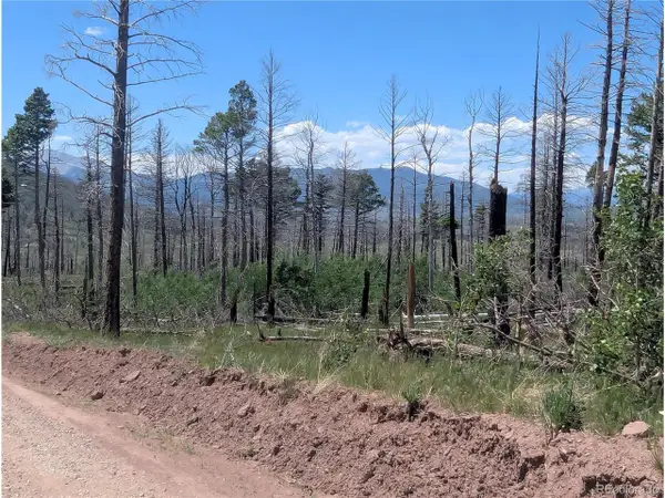 1050 Seawell Pl, Fort Garland, CO 81133