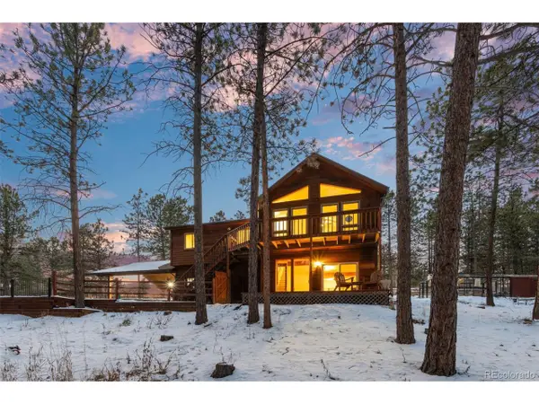 34431 Chilton Ave, Pine, CO 80470