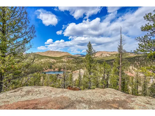 17016 Icehouse Ct, Pine, CO 80470