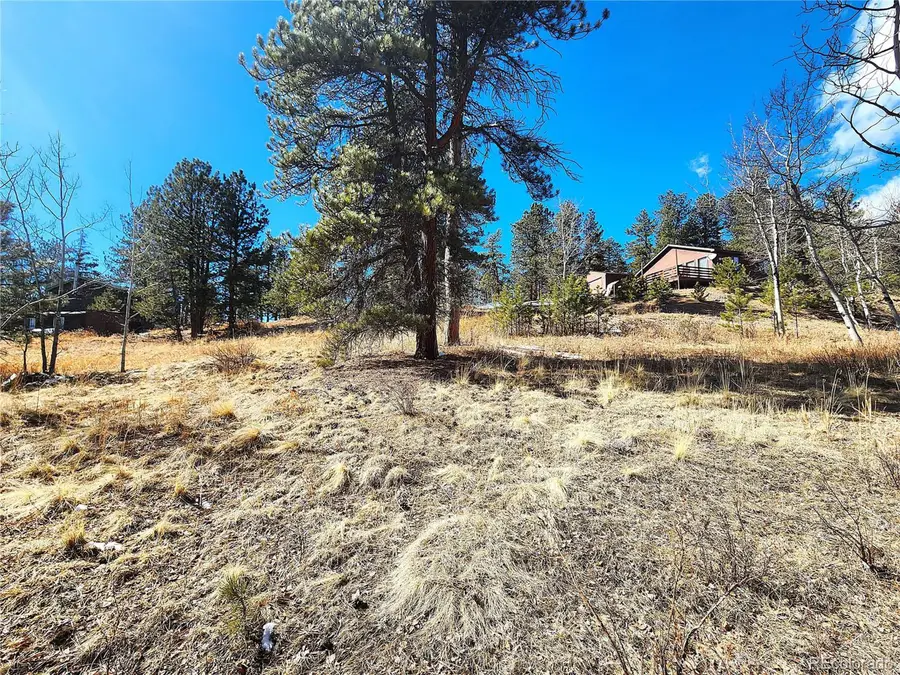 144 Gray St, Bailey, CO 80421 - #3