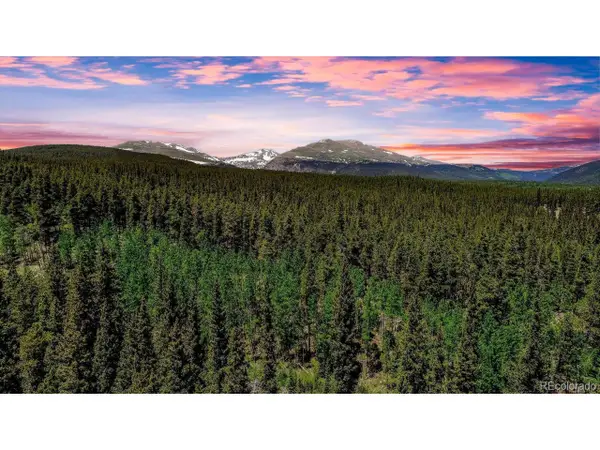 4100 Co Rd 1, Fairplay, CO 80440