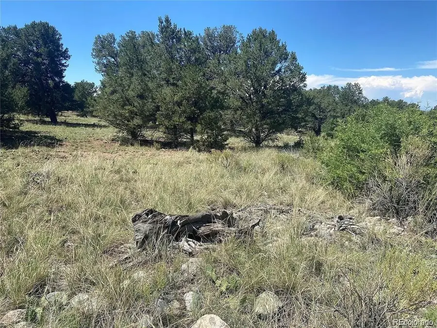 2049 Indian Well Overlook, Crestone, CO 81131 - Image #3