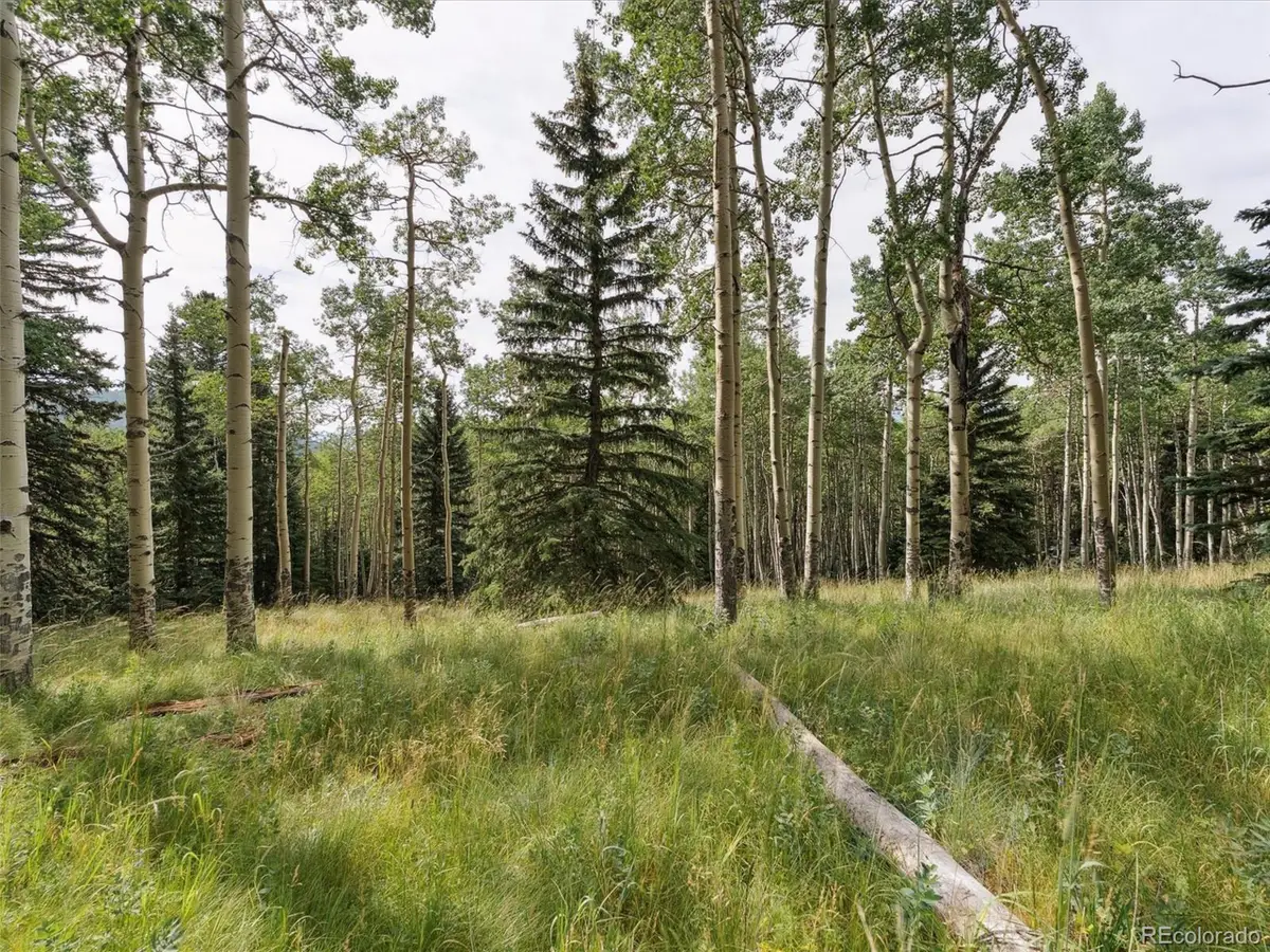 0 Meadowlark Dr, Evergreen, CO 80439 - Image #1