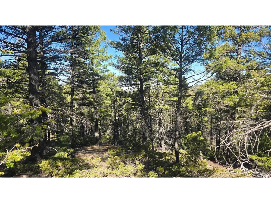 6034 Wood Rd, San Luis, CO 81152 - #2