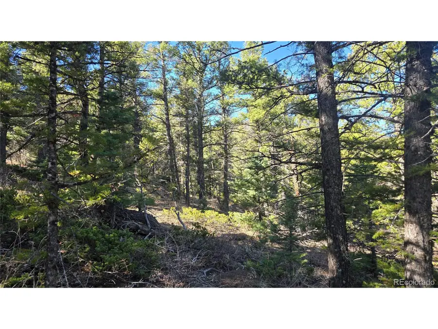 6034 Wood Rd, San Luis, CO 81152 - #3