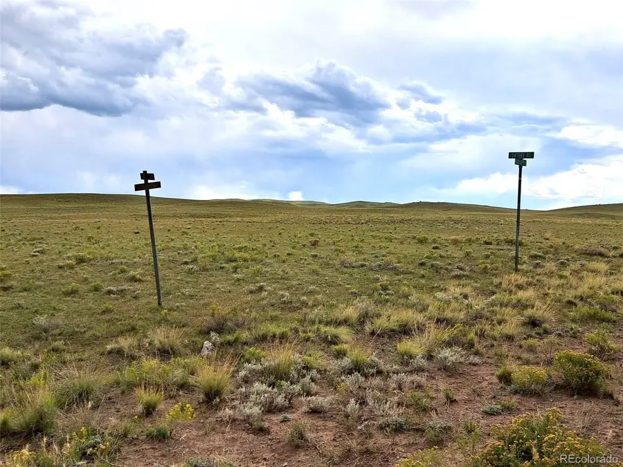 217 Black Gatto Trl, Hartsel, CO 80449 - Image #3