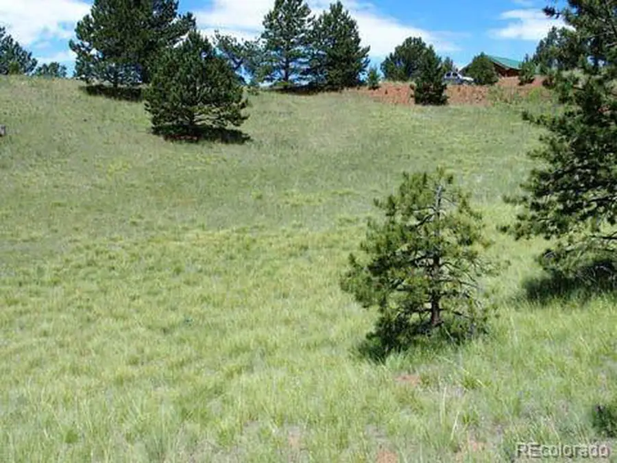 172 Cortez Pl, Cripple Creek, CO 80813 - #2