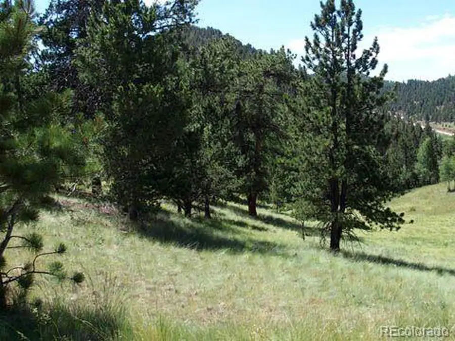 172 Cortez Pl, Cripple Creek, CO 80813 - #3