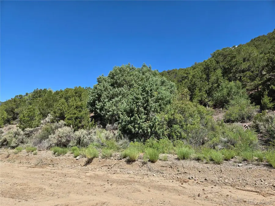 5046 Joy Rd, Fort Garland, CO 81133 - #3