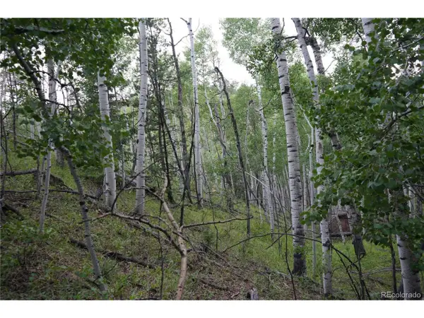 144 Goldfield Ct, Cripple Creek, CO 80813