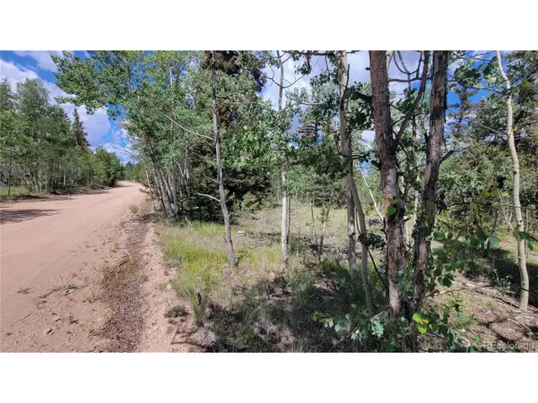 943 Bear Ln, Jefferson, CO 80456