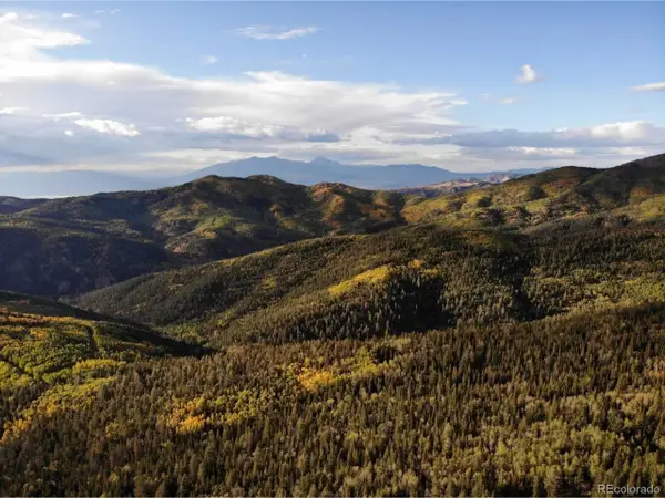 0 Heckman Rd, Fort Garland, CO 81133