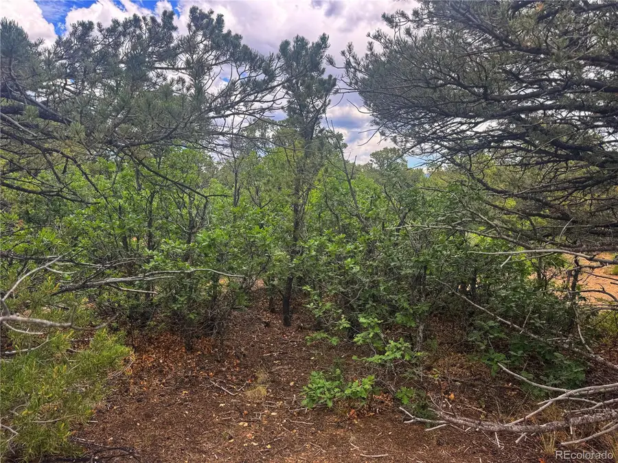 106 Colorado Land & Grazing, Walsenburg, CO 81089 - #2