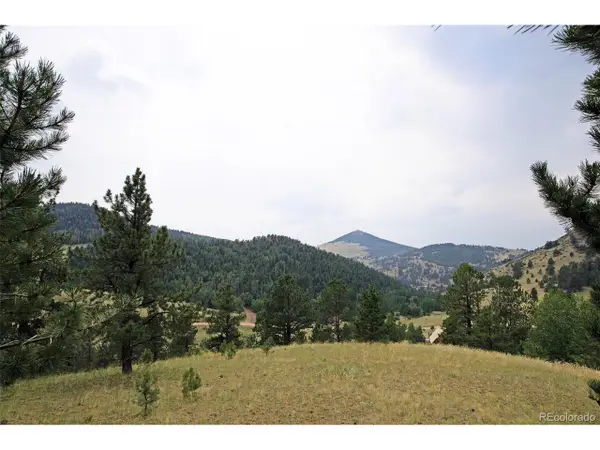726 Copper Mountain Dr, Cripple Creek, CO 80813