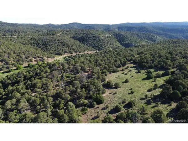 16198 Picketwire Rd, Boncarbo, CO 81024