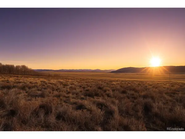 223 Breakneck Pass Rd, Fairplay, CO 80440