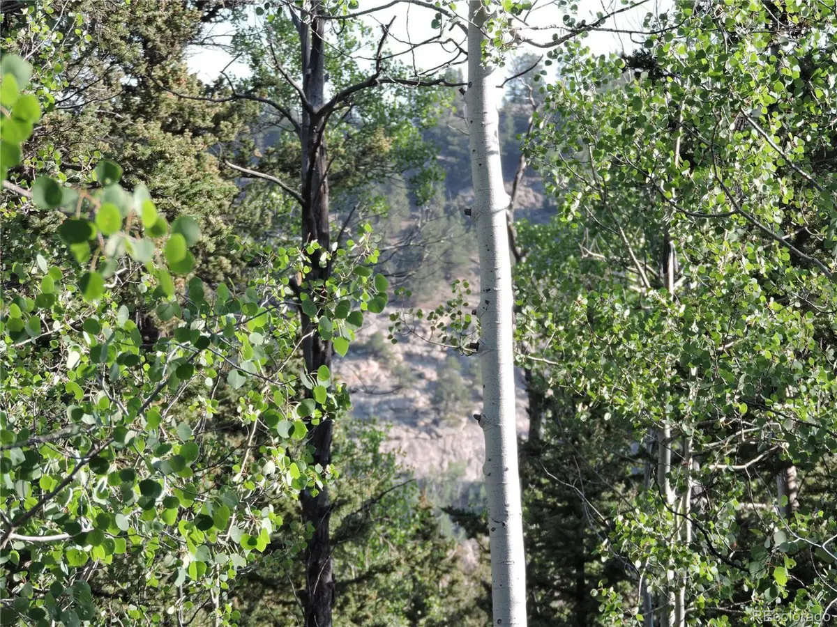 170 Buckskin Ct, Como, CO 80432 - Image #1