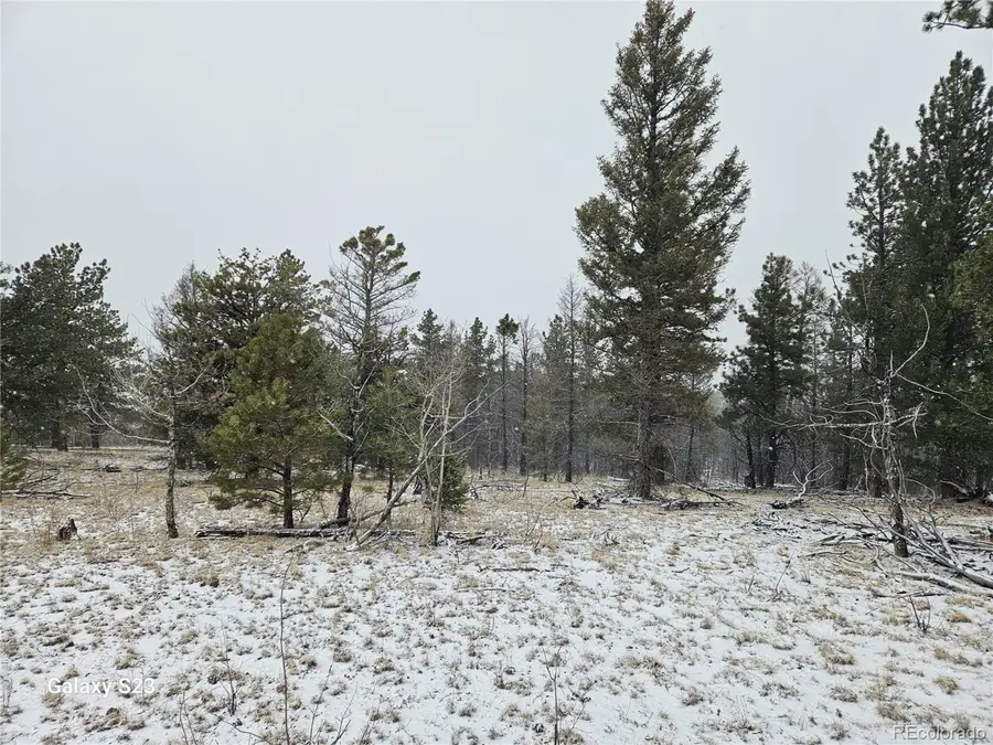 825 Frees Loop, Hartsel, CO 80449 - Image #3