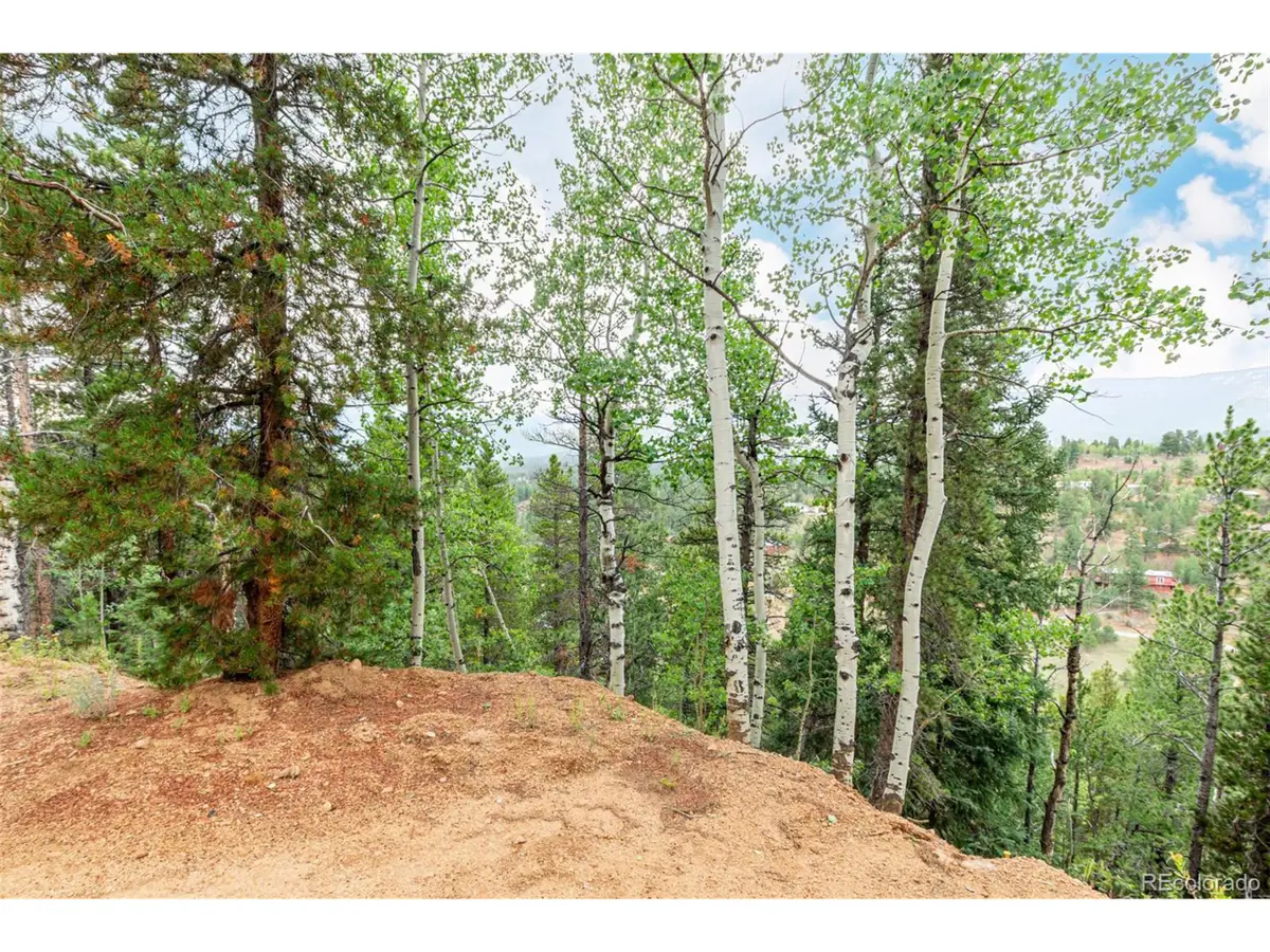 427 Wise Rd, Bailey, CO 80421 - #1