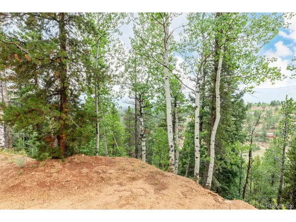 427 Wise Rd, Bailey, CO 80421