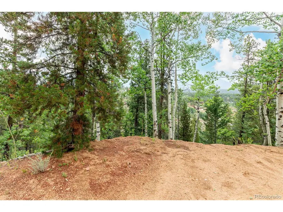 427 Wise Rd, Bailey, CO 80421 - #2
