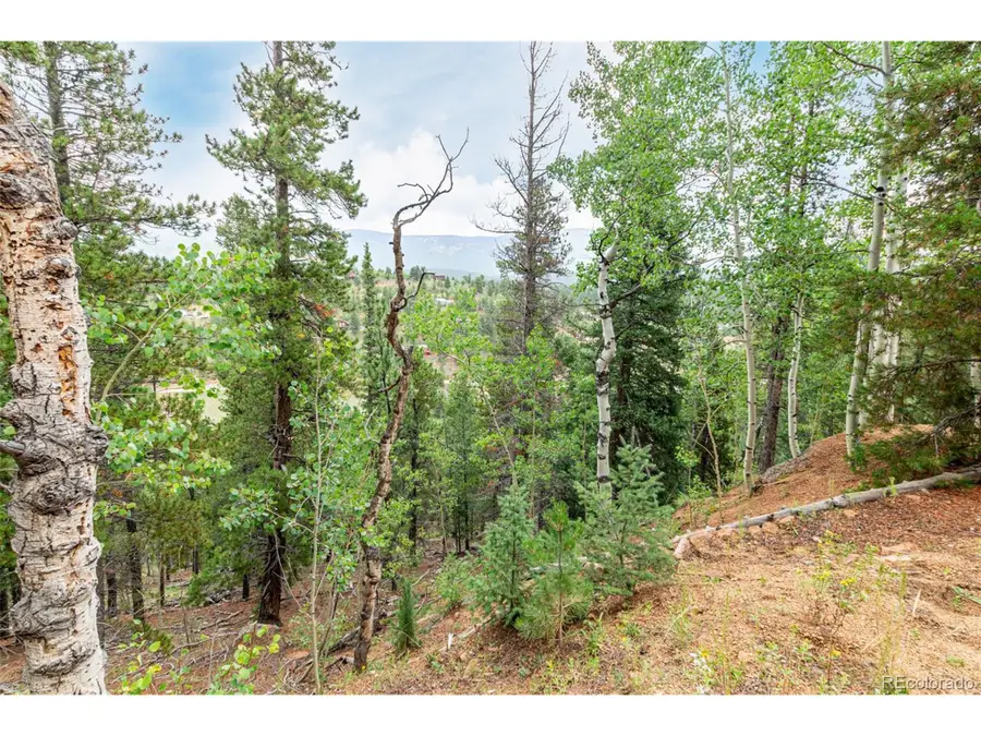 427 Wise Rd, Bailey, CO 80421 - #3