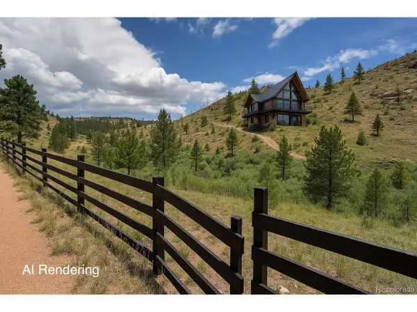 16320 Cochise Trl, Pine, CO 80470