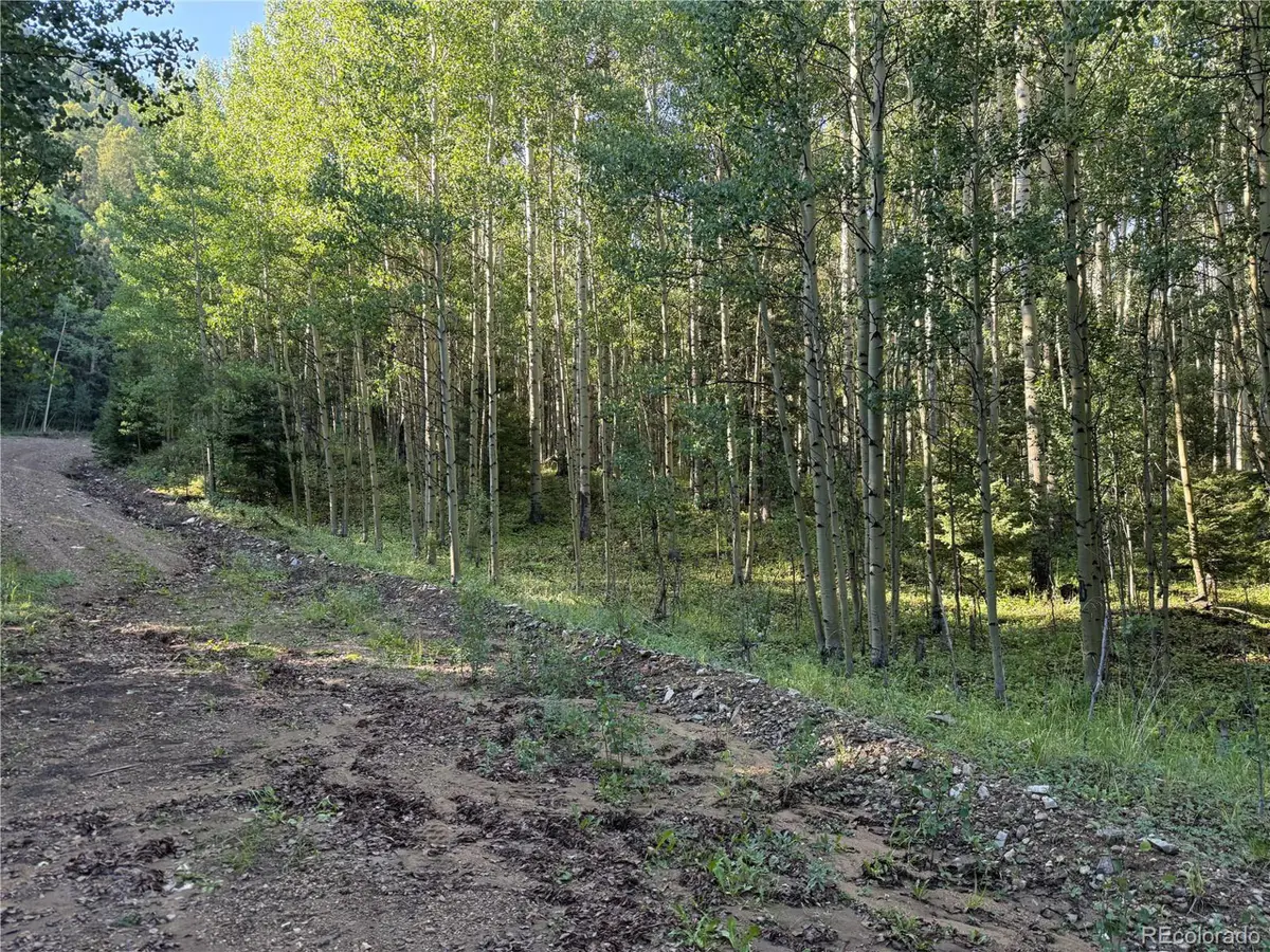 5331 Hull Rd, Fort Garland, CO 81133 - #1
