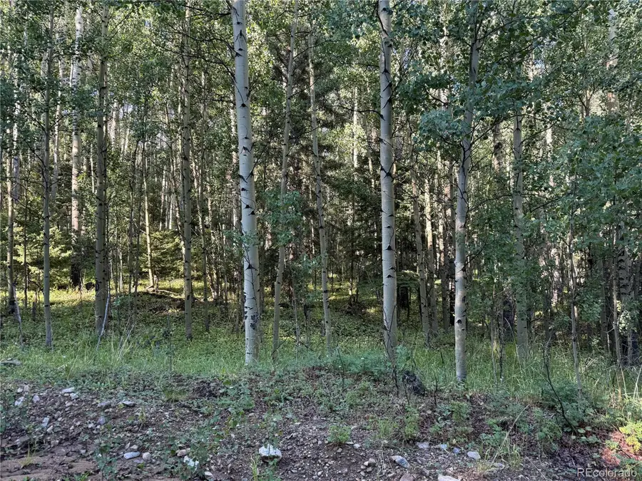 5331 Hull Rd, Fort Garland, CO 81133 - #2