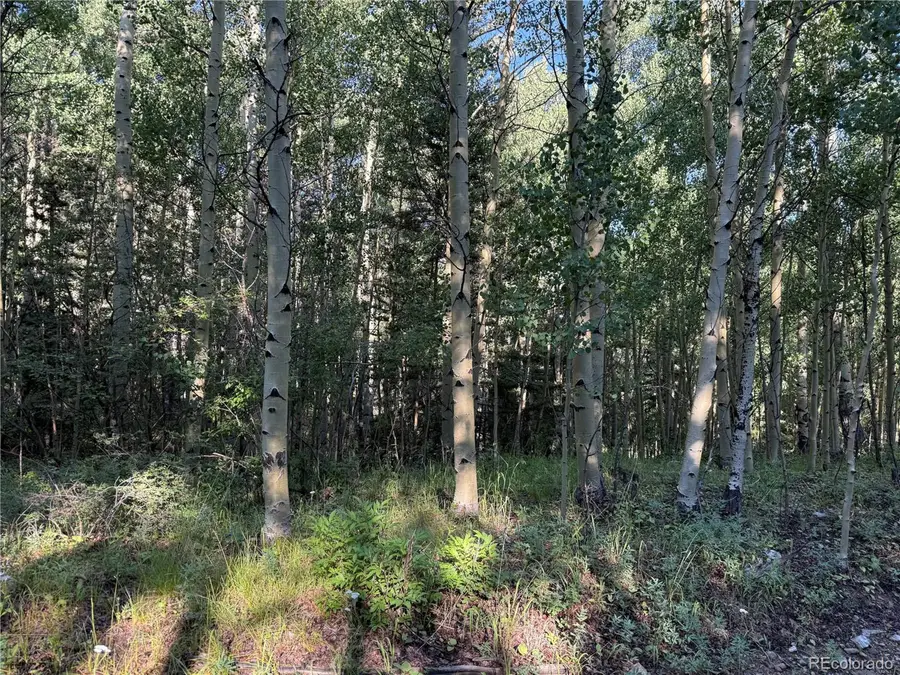 5331 Hull Rd, Fort Garland, CO 81133 - #3