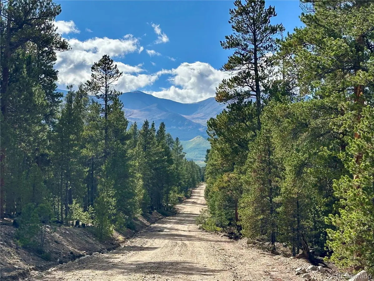 143 Fir Dr, Leadville, CO 80461 - #1