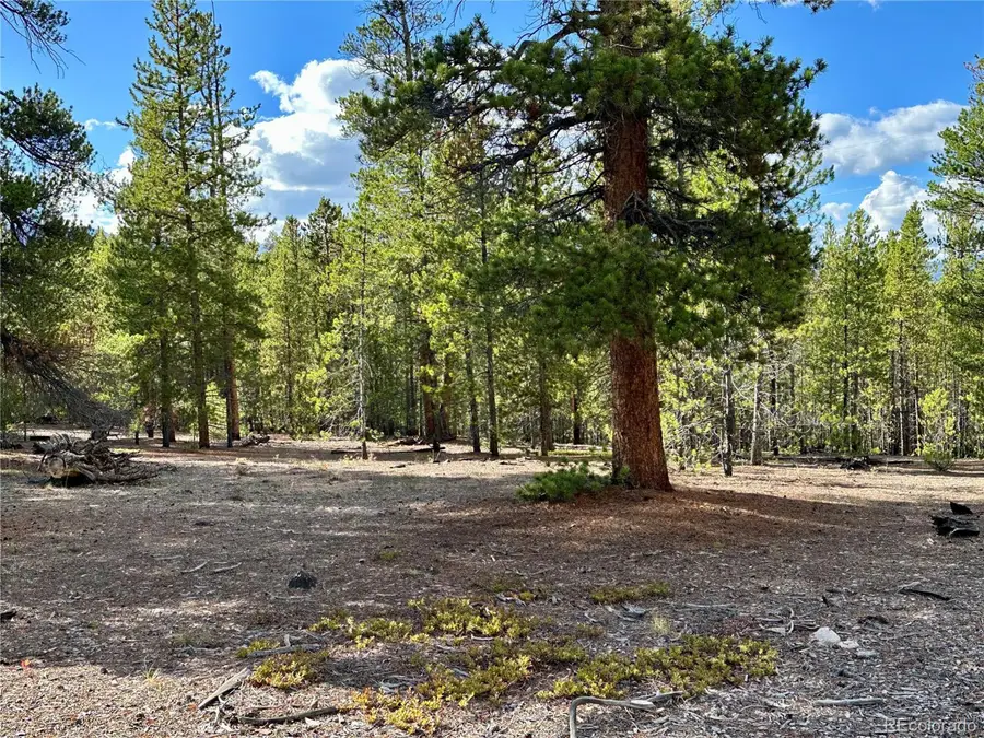 143 Fir Dr, Leadville, CO 80461 - #2