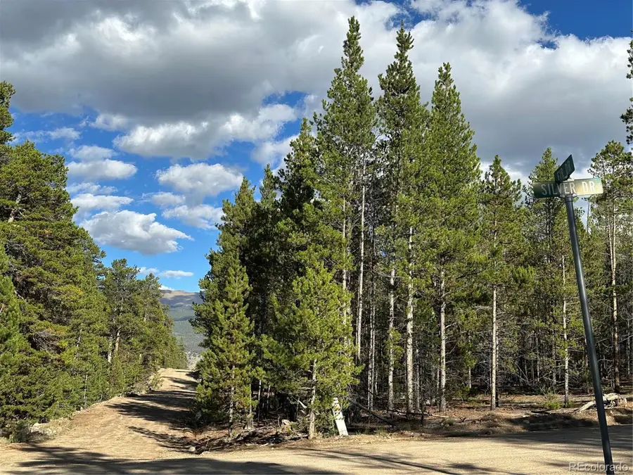 143 Fir Dr, Leadville, CO 80461 - #3