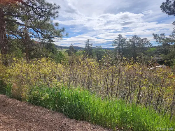 Address Withheld By Seller, Palmer Lake, CO 80133