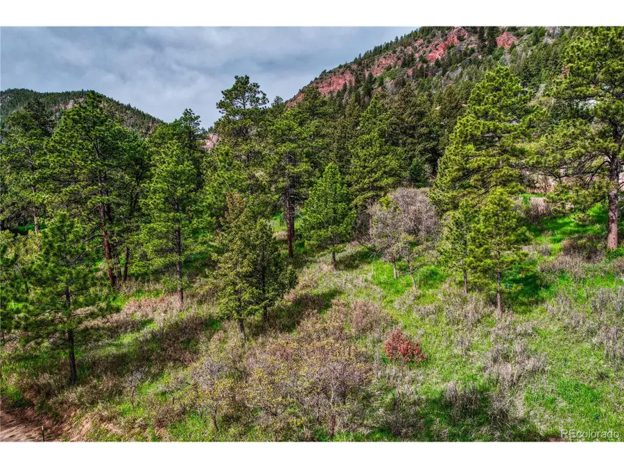 Address Withheld By Seller, Palmer Lake, CO 80133 - Image #2