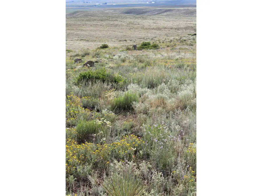 1009 Taos Trl, Westcliffe, CO 81252 - Image #3