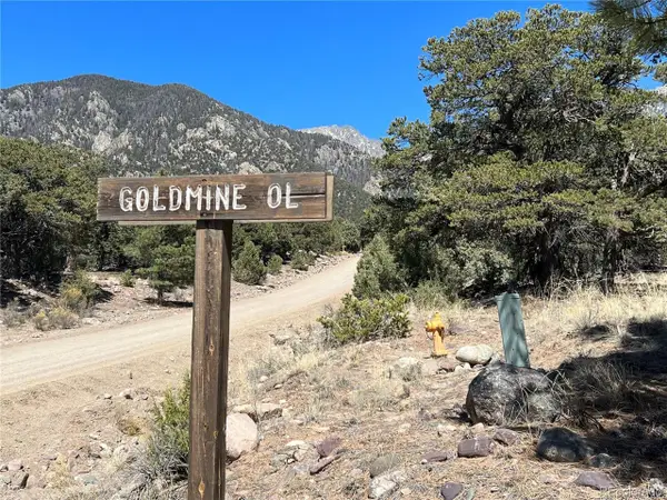 812 Goldmine Ol, Crestone, CO 81131