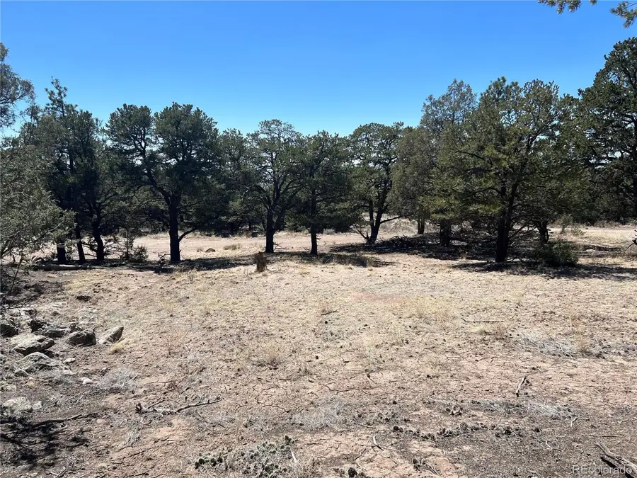 812 Goldmine Ol, Crestone, CO 81131 - Image #3