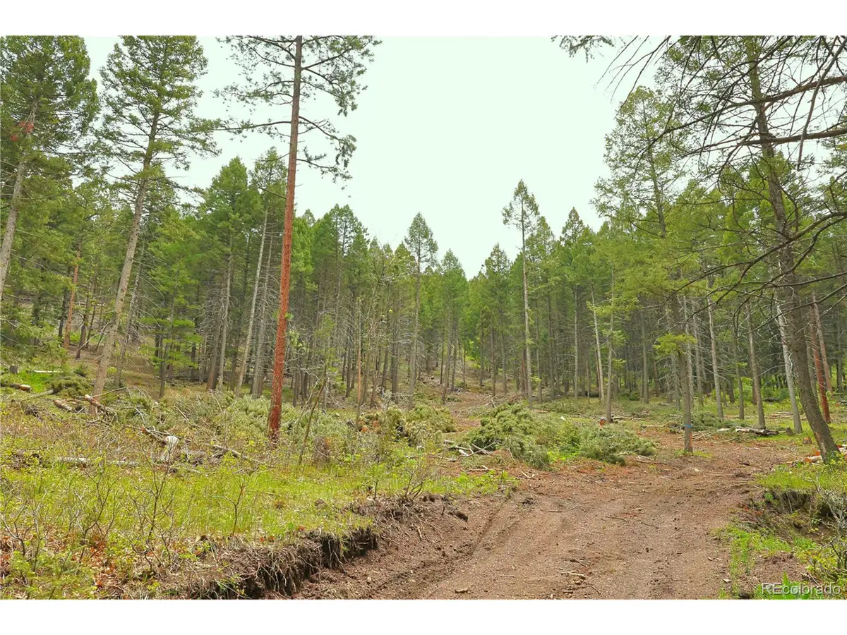 13114 Grey Hackle Dr, Larkspur, CO 80118 - #1