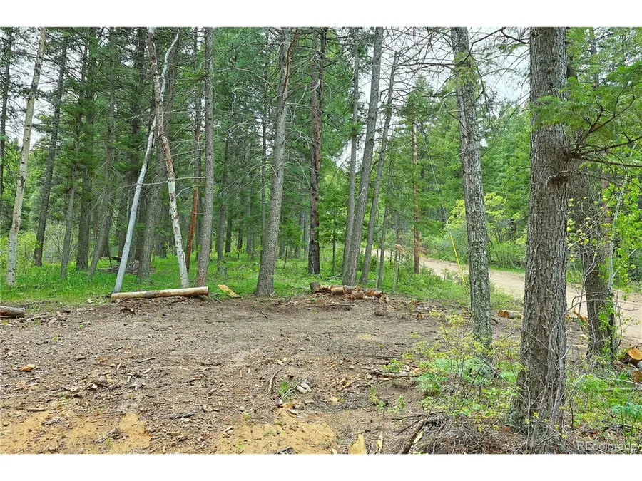 13114 Grey Hackle Dr, Larkspur, CO 80118 - #2