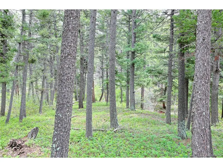 13114 Grey Hackle Dr, Larkspur, CO 80118 - #3