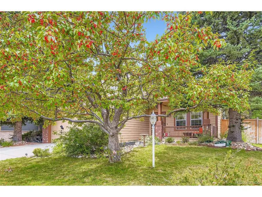 15904 Stonebriar Dr, Parker, CO 80134 - #2